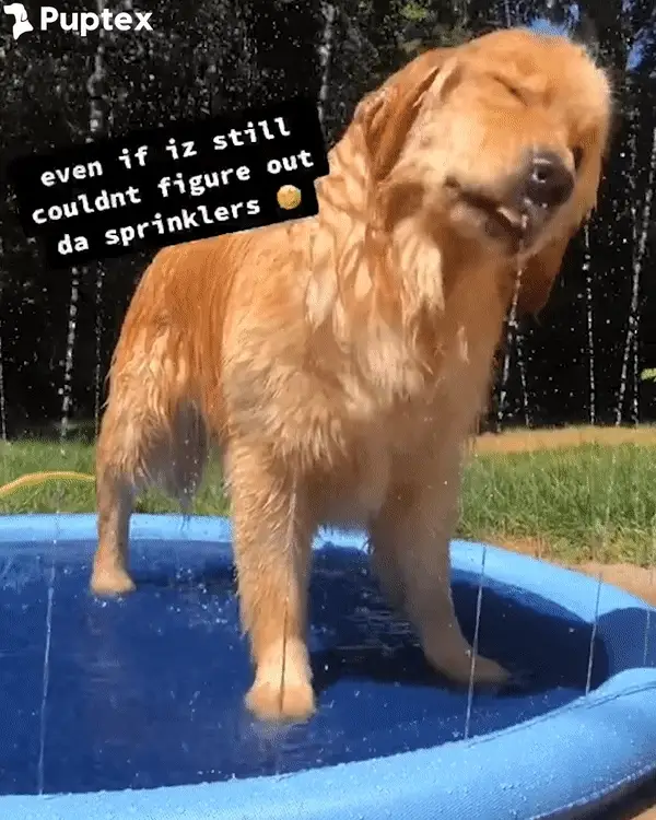 ezgif.com-video-to-gif-28