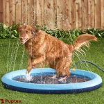 Sprinkly™ - Dog Sprinkler Pool - Image 2